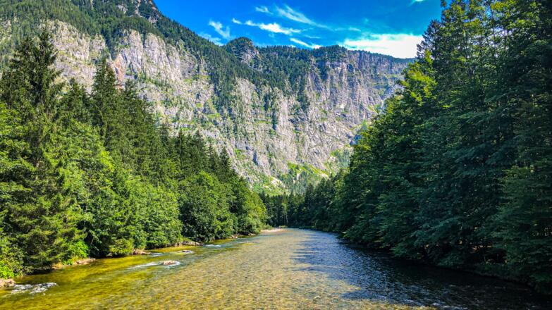 Koppenwinkel Steg Traun