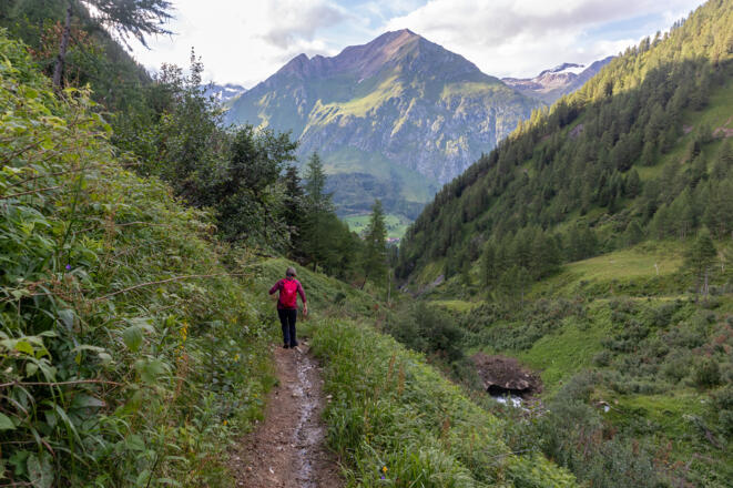 Abstieg im Zapotnitzental. Im Hintergrund die Kreuzspitze (3155 m).