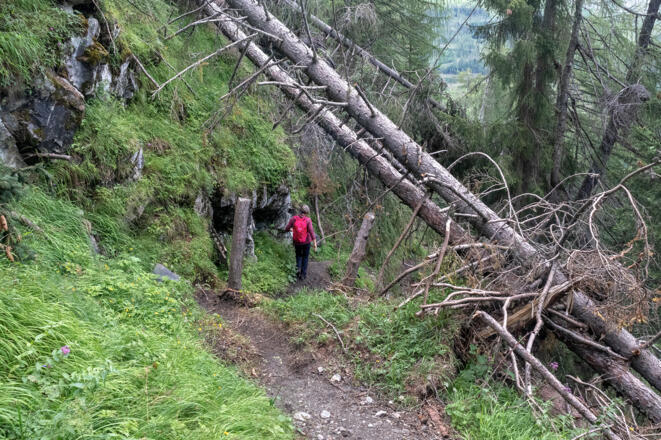 Abstieg im Zapotnitzental.