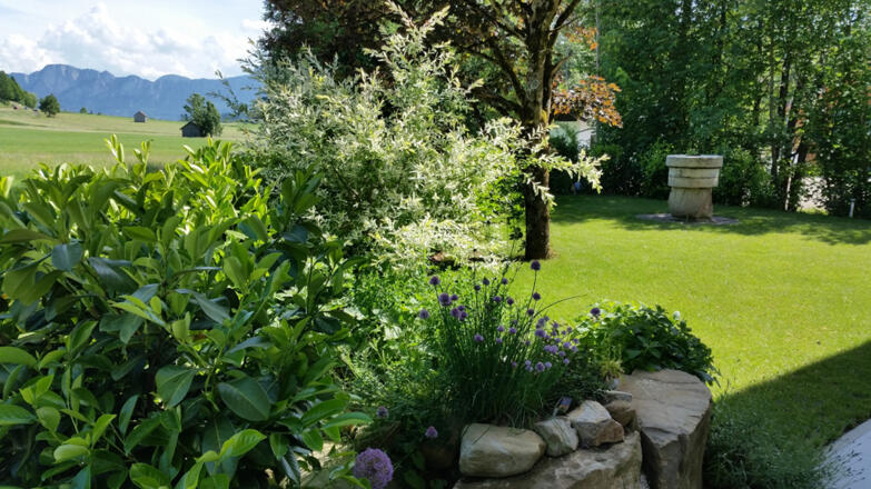 Weitblick zur Drachenwand