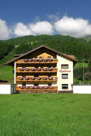 Alpenrose 300