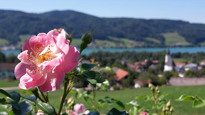 Aussicht von der Ferienwohnung