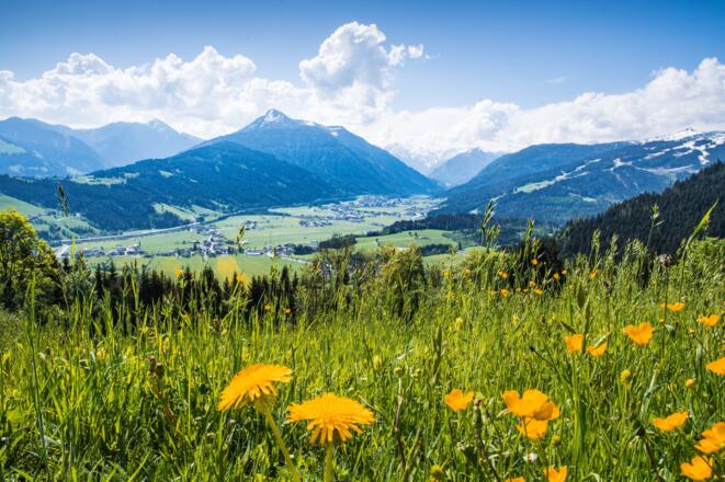 Blick ins Flachautal
