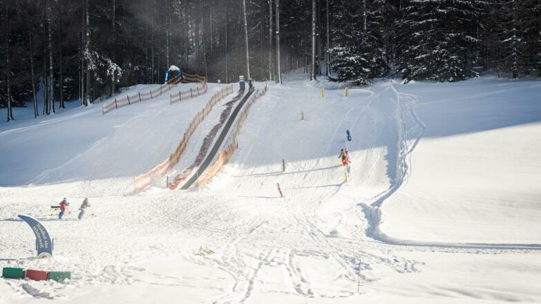 Lift Waldhof Alm