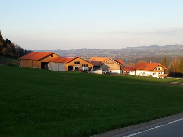 Unser Hof mit Blick auf den Kuhstall mit Scheune