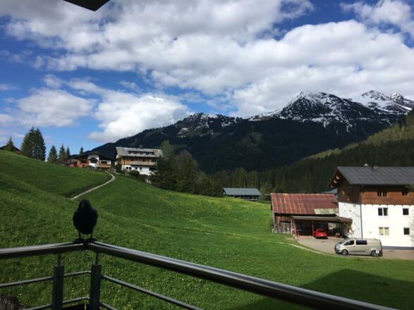 Blick vom Balkon