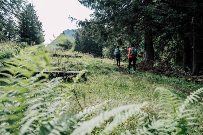 Auf dem Weg über den Karriedel