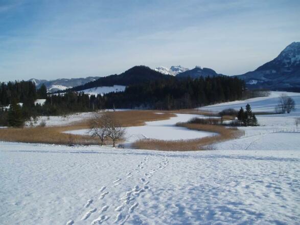 Egelsee