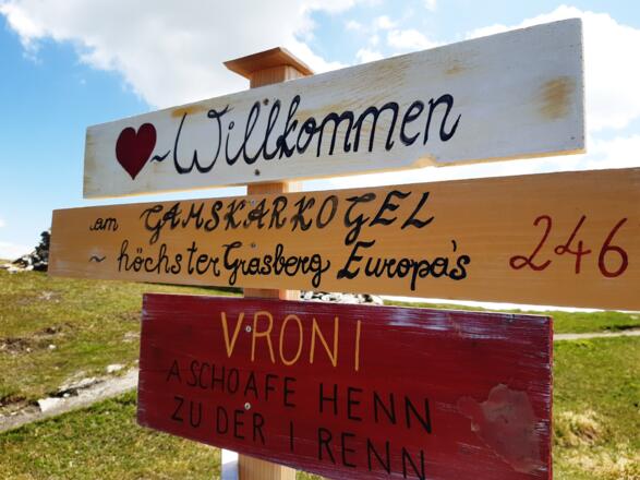 BHG welkom in de Gamskarkogelhütte