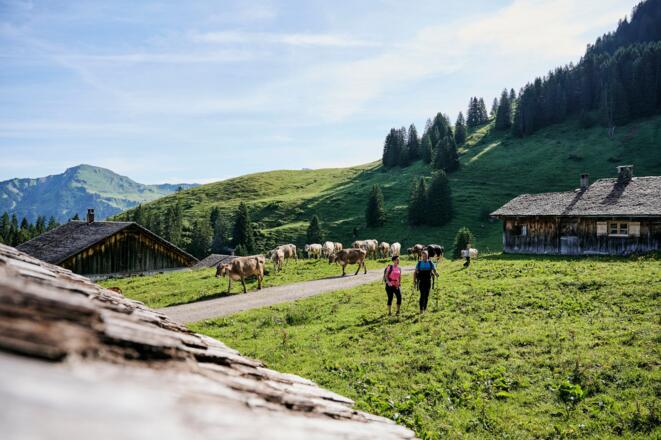 Auf dem Weg zur Alpe Steris