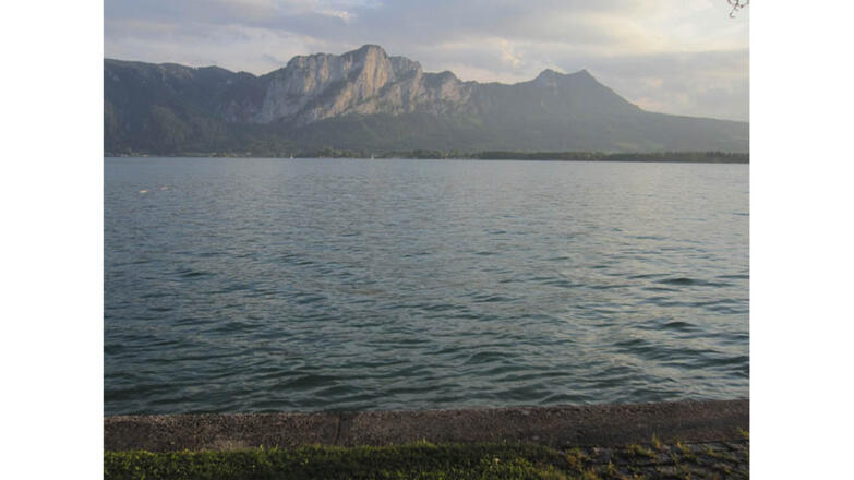Speigner