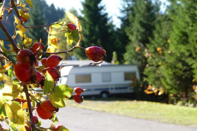 Herbststimmung