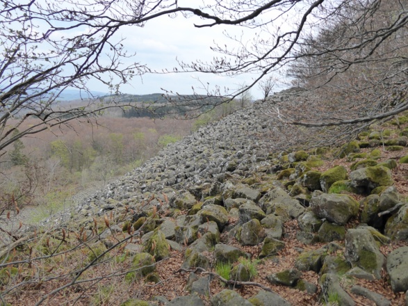 Basalthalde