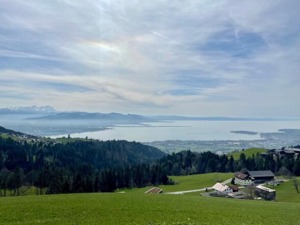 Blick auf den Bodensee