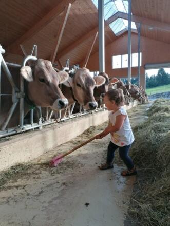 Auch die Kleinsten sind bei der Stallarbeit dabei