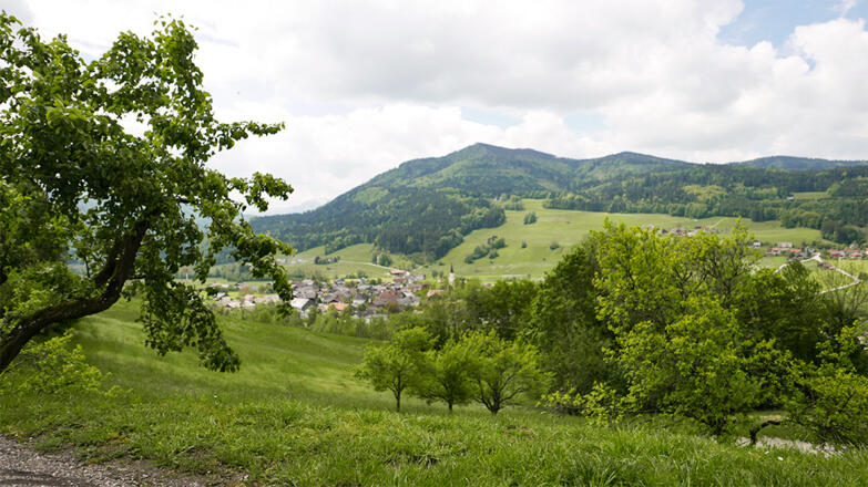 Aussicht auf Oberwang