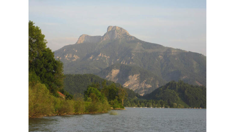 Speigner