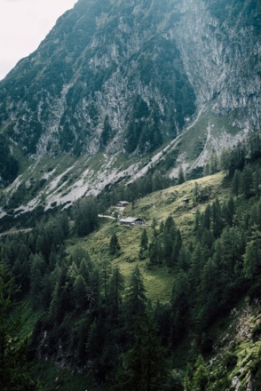 Blick zur Gsengalm vom Karriedel