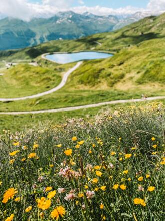 BHG bloemen en de Schlossalmsee