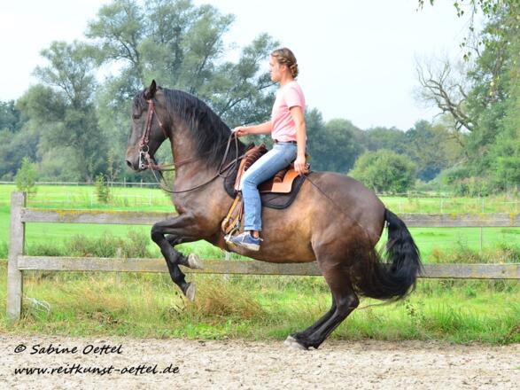 2021-Reitkunst Carmen Fromm1