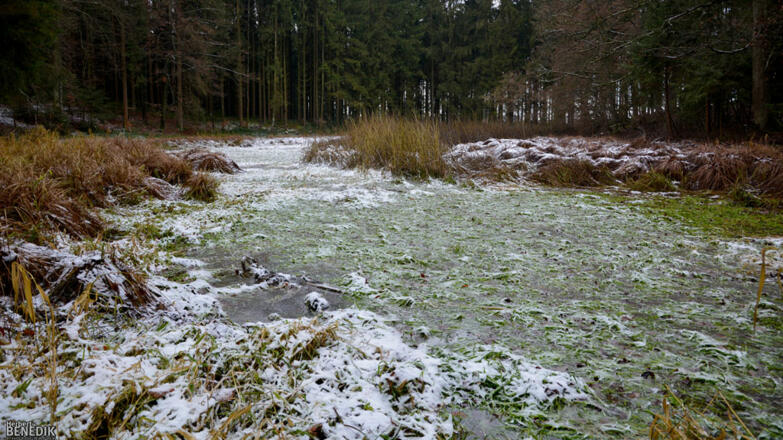 EgelseeSteindorf.2jpg