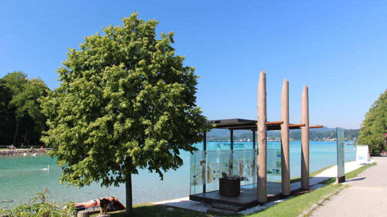 Pfahlbau Erlebnis.Welt.Erbe - Pfahlbau Pavillon Seewalchen
