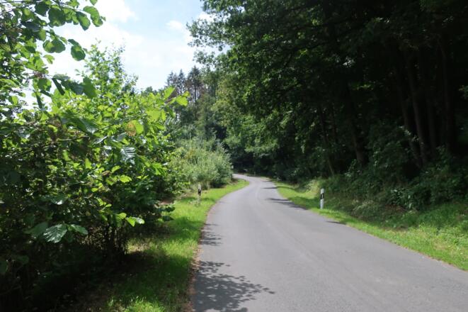 Rund um den Fechheimer Berg