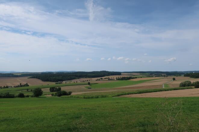 Blick über die Felder bei Fechheim