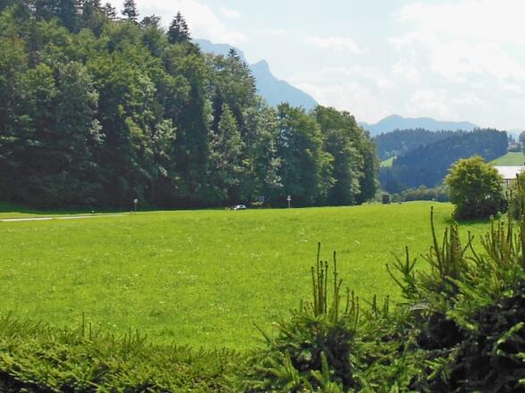 Aussicht Gästehaus Kaiserkrone