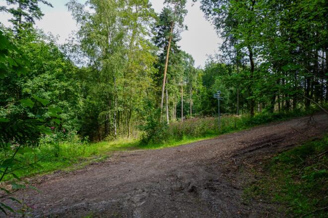 Abzweig Richtung Burgruine Fürth am Berg
