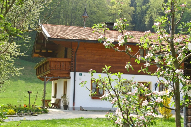 Ferienwohnung Wanderparadies