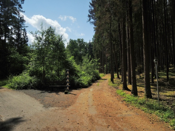 An der Gabelung im Naherholungsgebiet Ebersdorf gehen wir nach rechts.