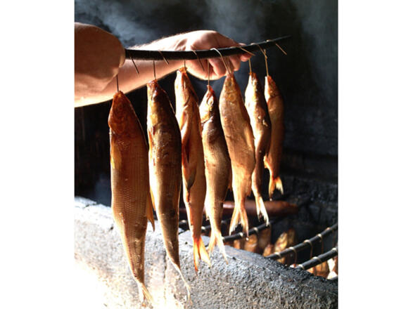 Räucherfisch