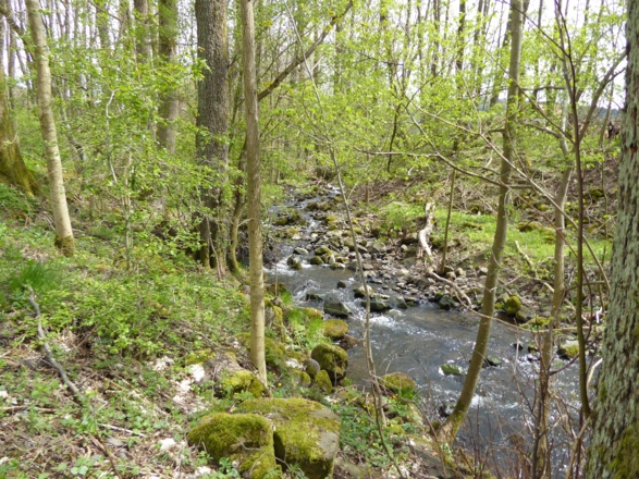 Birxgraben