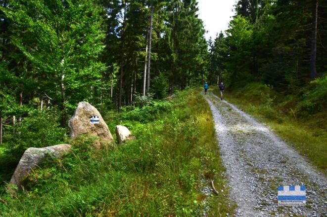 Nordwaldkammmarkierung bei Oberschwarzenberg