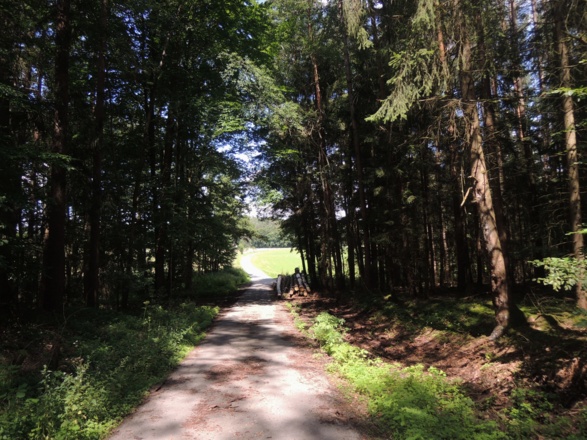 Wir wandern durch den Wald bei Ebersdorf.