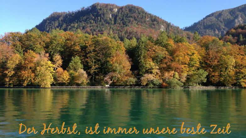 Attersee Herbst I