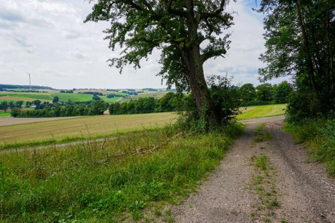 Rückweg nach Fechheim
