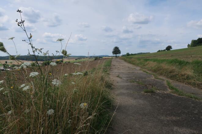 Der Rückweg oberhalb von Fechheim