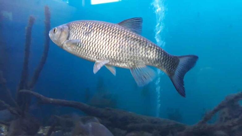 20200927_Aquarium (5) tour