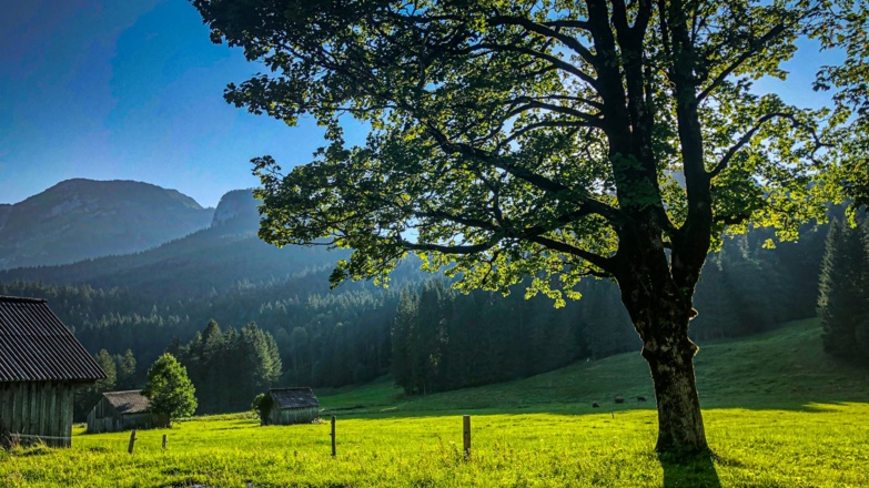 Blaa-Alm