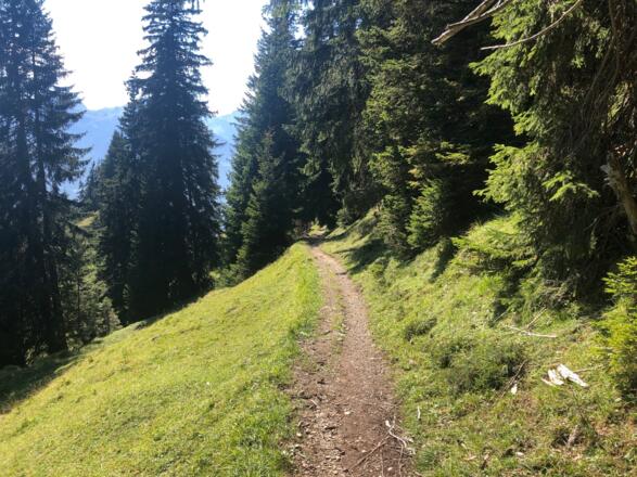 Abstieg nach Bartholomähberg