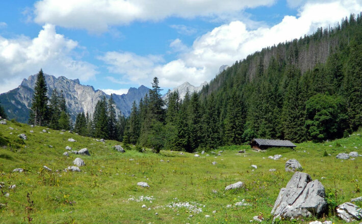 Auf der Mittereisalm