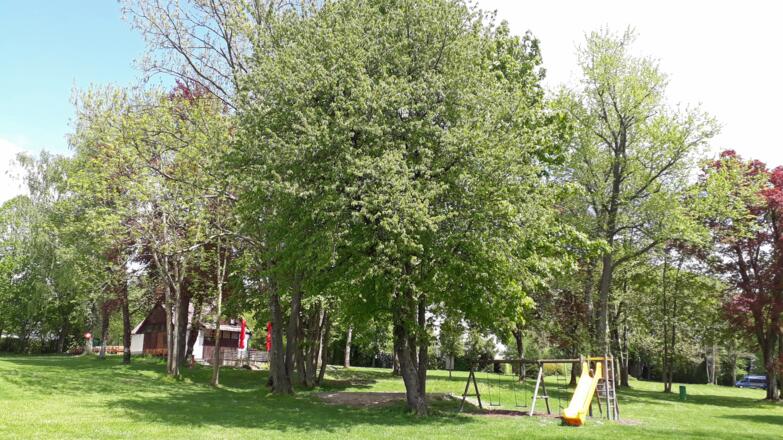 Seewalchen - Freibadeanlage Litzlberg