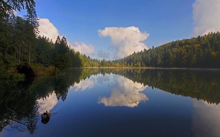 Inzell Sommer Frillensee