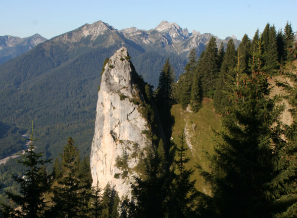 Blick zur Scheinbergspitze