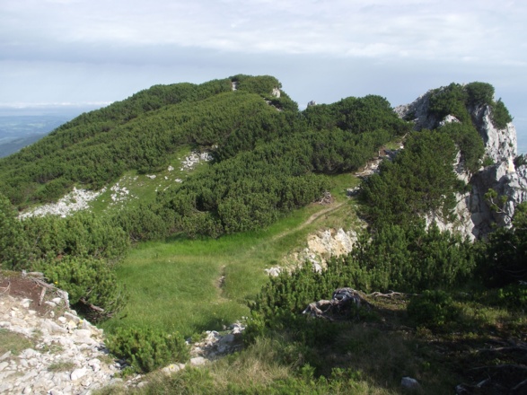Inzell/Chiemgau: Mittelstaufen mit Blick zum Zwiesel