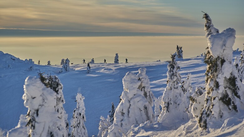 Sonnenuntergang am Großen Arber