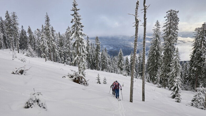 Ski- + Schneeschuhtour  Bodenmais