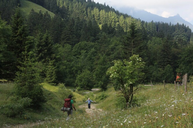 Almgelände oberhalb Doaglalm
